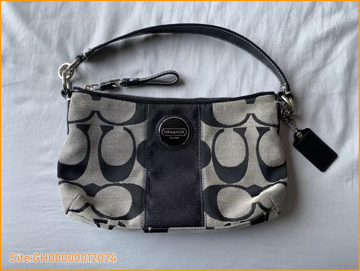 coach small purse-2