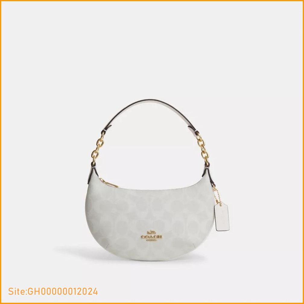 coach small purse-3