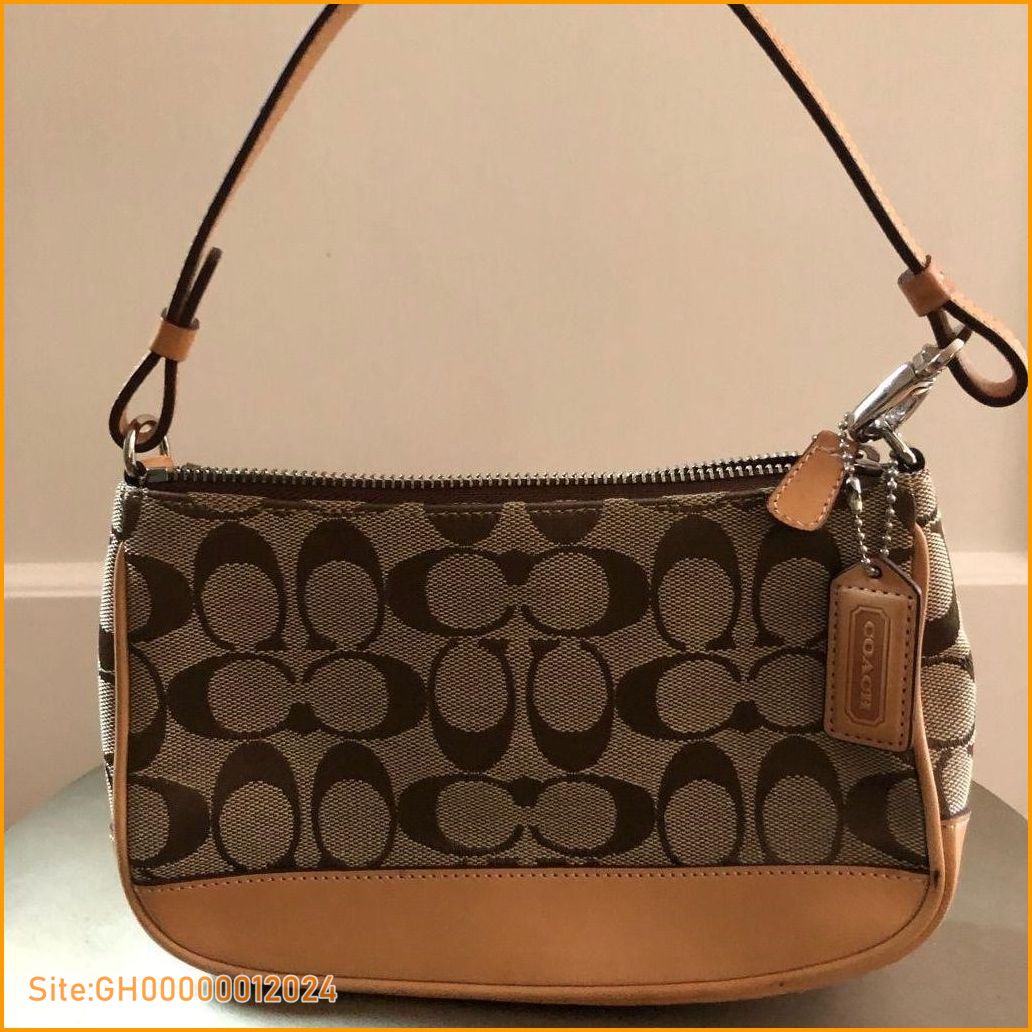 coach small purse-5