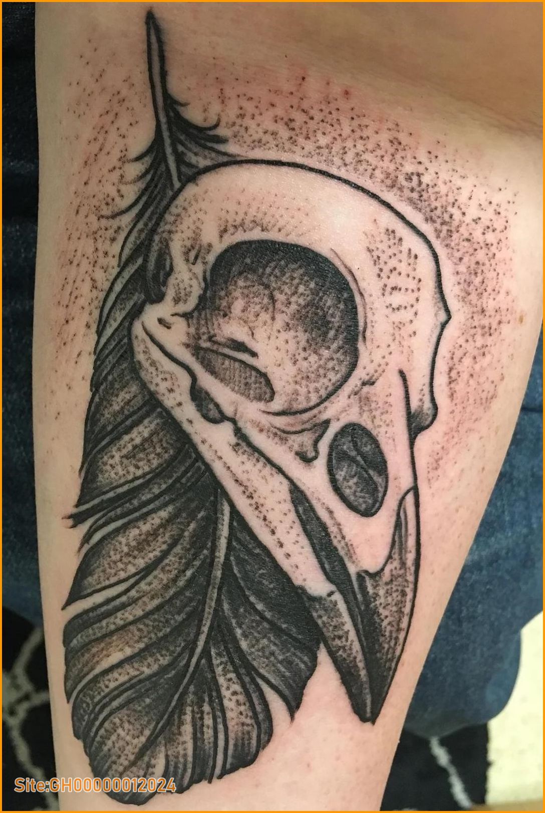 crow skull tattoo-3