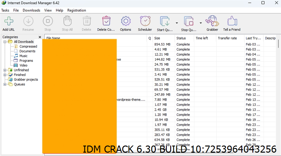 Idm Crack 6.30 Build 10 Screenshot