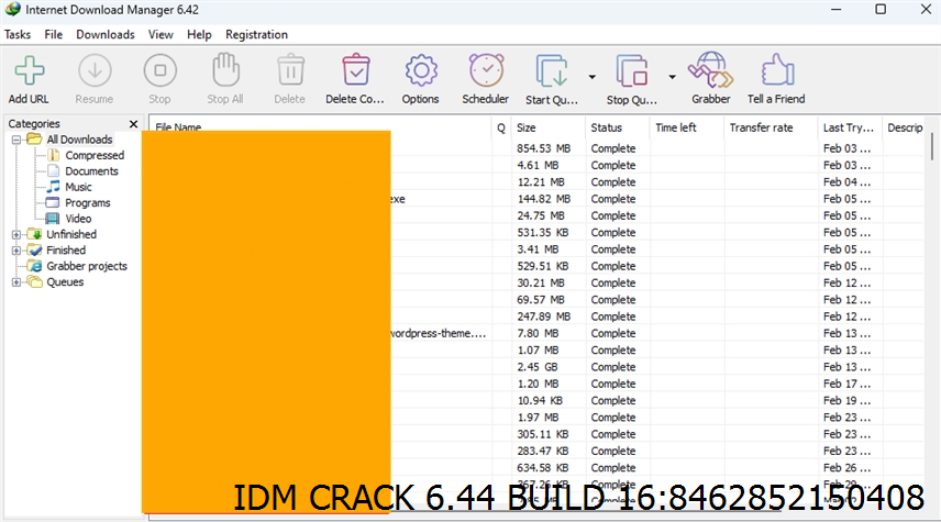 Idm Crack 6.44 Build 16 Screenshot